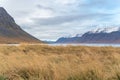 Westfjords of Iceland view into fjord and snow covered mountain tops behind meadow during autumn