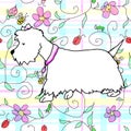 Westie in a spring plaid Royalty Free Stock Photo