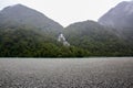 Westland National Park. New Zealand. Royalty Free Stock Photo