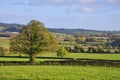 Westmeath Landscape Royalty Free Stock Photo