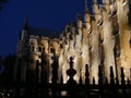 Westminster Abbey at night