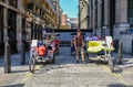 Pedicabs waiting to pick up a fare.