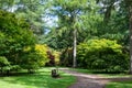 Westonbirt arboretum Royalty Free Stock Photo