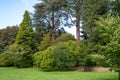 Westonbirt arboretum