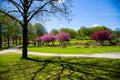 Westpark in spring in Munich, blue sky Royalty Free Stock Photo