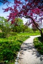 Westpark in spring in Munich, blue sky Royalty Free Stock Photo