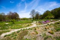 Westpark in spring in Munich, blue sky Royalty Free Stock Photo