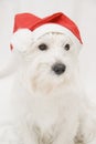 A westy in Christmas. Royalty Free Stock Photo