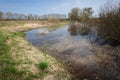 Wet areas in an uncultivated meadow