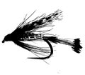 Trout wet fly fishing illustration