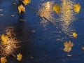 Wet asphalt  water reflection autumn leaves  fall season street evening light blurred  light evening Royalty Free Stock Photo