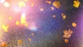 Wet asphalt city night raindrops water reflection autumn leaves  fall season street evening light blurred  light evening Royalty Free Stock Photo