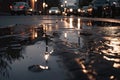 wet asphalt after a rainstorm, with puddles and reflections