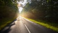 Wet asphalt road in forest against the sun Royalty Free Stock Photo