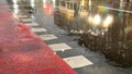 wet asphalt road markings for cyclists under rain evening light blurr on road termplate background defocus