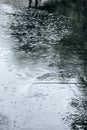 Wet asphalt sidewalk background during rain