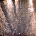 Wet asphalt with a tree trunk reflection - vintage effect. Royalty Free Stock Photo