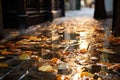 Wet autumn leaves on the old stone pavement with blurred background Royalty Free Stock Photo