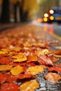 wet autumn road with yellow leaves and cars, rainy city street with streetlights in the evening as blurred background, beautiful Royalty Free Stock Photo