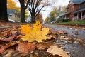 wet autumn road with yellow leaves in the suburbs, rainy city street in the evening as a blurred background, beautiful autumn Royalty Free Stock Photo