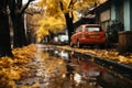 wet autumn road with yellow leaves in the suburbs, rainy city street in the evening as a blurred background, beautiful autumn Royalty Free Stock Photo