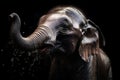 Wet Baby Elephant Playing in the Water on a Dark Background