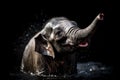 Wet Baby Elephant Playing in Water with Dark Background