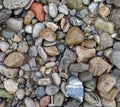 Wet beach pebbles Royalty Free Stock Photo