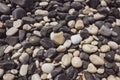 Wet beach stones texture Royalty Free Stock Photo