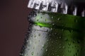 Wet beer bottle with a cap Royalty Free Stock Photo