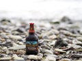 Wet beer bottle Old Miller on the stones close-up.