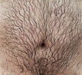 Belly of a man with hair Royalty Free Stock Photo