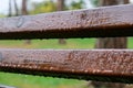 Wet bench in the park in the rain. Rainy weather. Wooden chair in the rain. Wet urban furniture. Rain drops on wooden Royalty Free Stock Photo