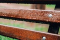 Wet bench in the park in the rain. Rainy weather. Wooden chair in the rain. Wet urban furniture. Rain drops on wooden Royalty Free Stock Photo