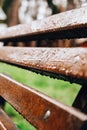 Wet bench in the park in the rain. Rainy weather. Wooden chair in the rain. Wet urban furniture. Rain drops on wooden Royalty Free Stock Photo