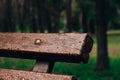 Wet bench in the park in the rain. Rainy weather. Wooden chair in the rain. Wet urban furniture. Rain drops on wooden Royalty Free Stock Photo