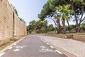 Wet bike path along the fence and park with green trees and palm trees during the rain in Israel