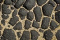 Wet black stone and sand as the backdrop.