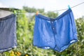 Wet blue underpants drying on the rope