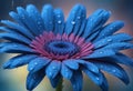 wet blue water flower background, close up of gerber flower Royalty Free Stock Photo