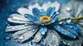 wet blue water flower background, close up of gerber flower with water drops, floral background. Royalty Free Stock Photo