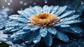 wet blue water flower background, close up of gerber flower with water drops, floral background Royalty Free Stock Photo