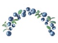 Wet blueberries in the air with leaves closeup isolated on a white background Royalty Free Stock Photo