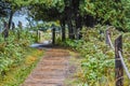 Boardwalk Walking Path, Kohler-Andrae State Park