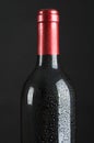 Wet bottle of wine Royalty Free Stock Photo