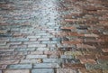wet brick pavement Royalty Free Stock Photo