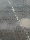 The wet brick paving road Royalty Free Stock Photo