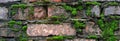A wet brick wall overgrown with moss. Natural background.