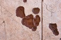 Wet broken floor tile detail. Construction issues. Damaged surface Royalty Free Stock Photo