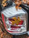 Wet Brown Autumn Oak Leaves on Car Tailight after Rain Royalty Free Stock Photo